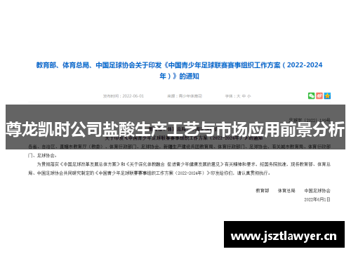 尊龙凯时公司盐酸生产工艺与市场应用前景分析
